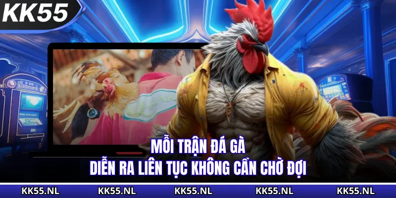 Mỗi trận đá gà diễn ra liên tục không cần chờ đợi